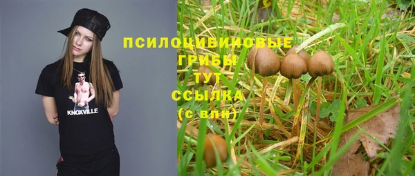 круглые Арсеньев
