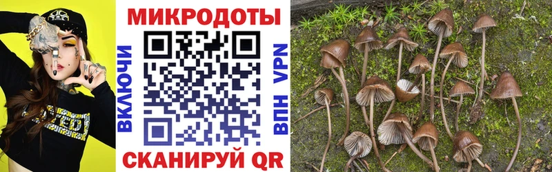 купить наркотики цена Олонец blacksprut ссылки Галлюциногенные грибы Psilocybe